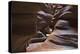 Upper Antelope V-Larry Malvin-Premier Image Canvas