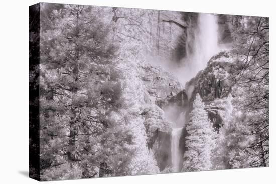 Upper Meets Lower Yosemite Falls, Infrared-Vincent James-Premier Image Canvas