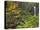 Upper Multnomah Falls-Steve Terrill-Premier Image Canvas