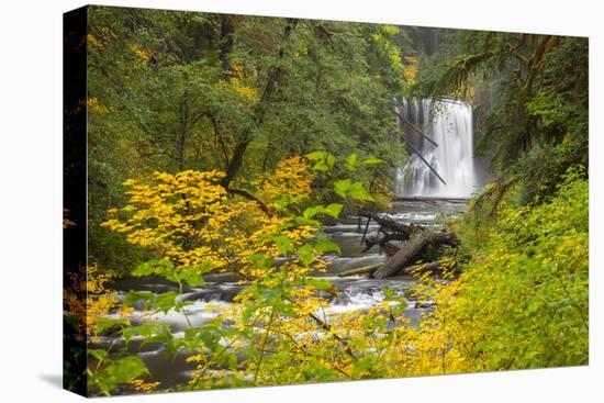 Upper North Falls, Silver Falls State Park, Oregon, USA-Jamie & Judy Wild-Premier Image Canvas