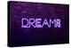 Urban Neon Collection - DREAMS-Philippe Hugonnard-Stretched Canvas