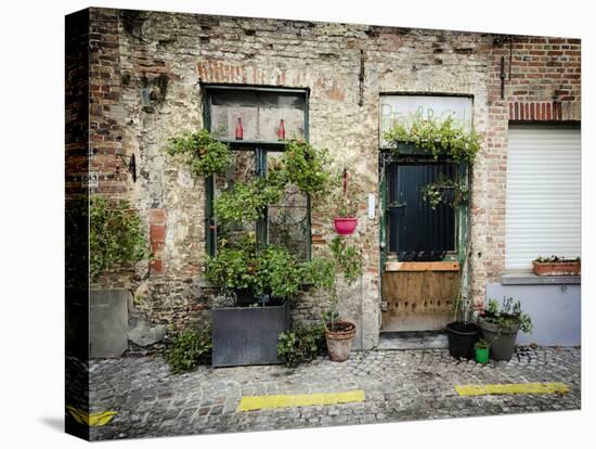 Urban Oasis-Valda Bailey-Premier Image Canvas