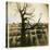 Urban Paris Landscape with Tree-Kevin Cruff-Premier Image Canvas