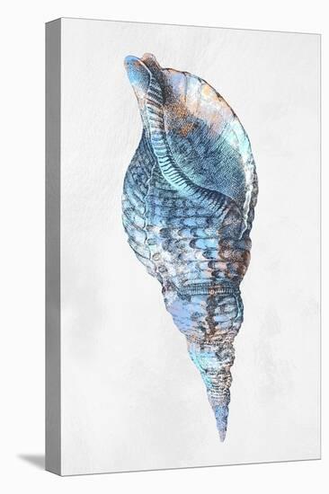 Urban Sea Shell 3-Marcus Prime-Stretched Canvas