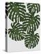 Urban Tropical - Monstera-Dana Shek-Stretched Canvas