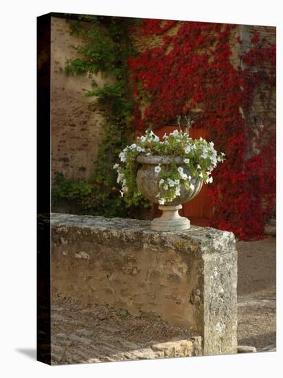 Urn of Petunias, Chateau de Pierreclos, Burgundy, France-Lisa S^ Engelbrecht-Premier Image Canvas