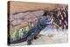 Uromastyx Lizard-Gary Carter-Premier Image Canvas