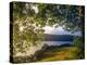 Urquhart Castle, Loch Ness, Lochaber, Scotland-Paul Harris-Premier Image Canvas