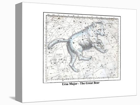 Ursa Major - the Great Bear-Alexander Jamieson-Stretched Canvas