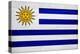Uruguay Flag Design with Wood Patterning - Flags of the World Series-Philippe Hugonnard-Stretched Canvas