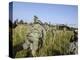 US Army Soldiers Prepare to Board a UH-60 Black Hawk Helicopter-Stocktrek Images-Premier Image Canvas