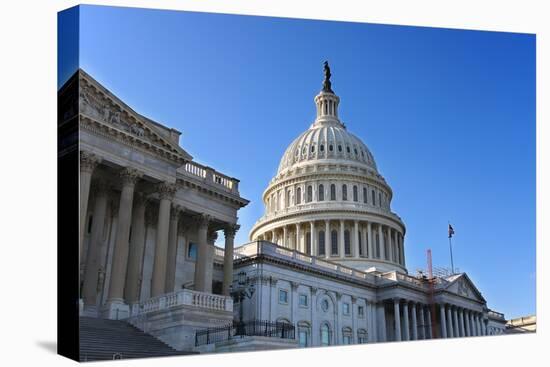 US Capitol, Washington DC-sborisov-Premier Image Canvas