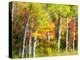 US, Michigan, Upper Peninsula. Fall colors in the forest.-Julie Eggers-Premier Image Canvas