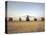 US Military Vehicles and Aircraft Lined Up on the Taxiway at Camp Speicher, Iraq-null-Premier Image Canvas