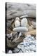 Us, Wa, Dungeness Spit. Rock Cairns on Driftwood-Trish Drury-Premier Image Canvas