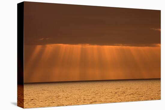 USA, Acadia National Park, Maine. Rays from morning sun along Ocean drive.-Joanne Wells-Premier Image Canvas