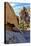 USA, Alabama Hills, California. Long Pine-Joe Restuccia III-Premier Image Canvas
