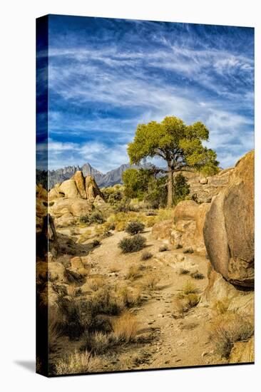 USA, Alabama Hills, California. Long Pine-Joe Restuccia III-Premier Image Canvas