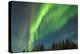 USA, Alaska. Aurora Borealis over Forest-Cathy & Gordon Illg-Premier Image Canvas