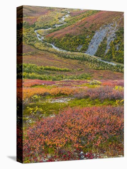 USA, Alaska, Brooks Range. Tundra and Dietrich River.-Jaynes Gallery-Premier Image Canvas