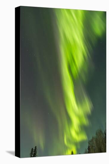 USA, Alaska, Central Alaska, Aurora, Northern Lights-Cathy & Gordon Illg-Premier Image Canvas