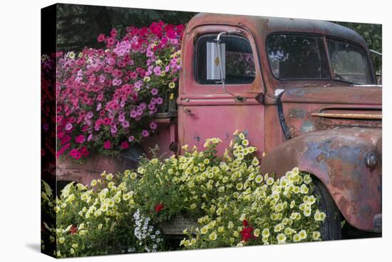 USA, Alaska, Chena Hot Springs. Old truck and flowers.-Jaynes Gallery-Premier Image Canvas