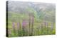 USA, Alaska. Fireweed and Upper Willow Creek.-Jaynes Gallery-Premier Image Canvas