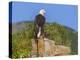 USA, Alaska, Katmai National Park, Kukak Bay. Bald Eagle-Frank Zurey-Premier Image Canvas