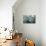 USA, Alaska, Ketchikan, Antique Japanese Glass Fishing Floats-Savanah Stewart-Premier Image Canvas displayed on a wall