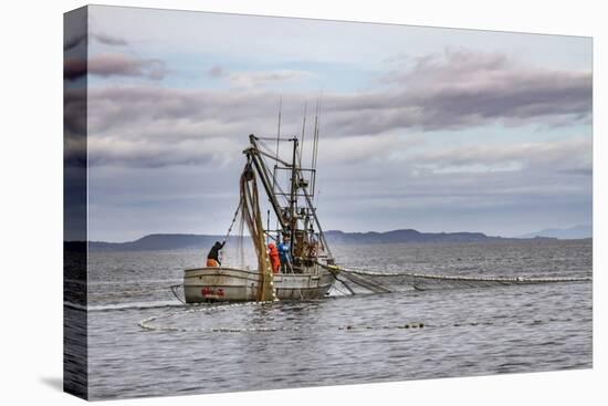 USA, Alaska, Kodiak, Chiniak Bay. Commercial fishing for salmon.-Frank Zurey-Premier Image Canvas