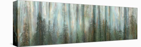 USA, Alaska, Misty Fiords National Monument. Panoramic collage of paint-splattered curtain.-Jaynes Gallery-Premier Image Canvas