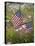 USA, Alaska, Ninilchik. US flags in American Legion Cemetery.-Jaynes Gallery-Premier Image Canvas