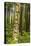 USA, Alaska, Prince of Wales Island, Kasaan. Totem pole and forest.-Jaynes Gallery-Premier Image Canvas