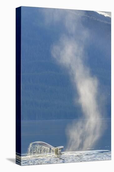 USA, Alaska, Tongass National Forest. Humpback whale dives after spouting-Jaynes Gallery-Premier Image Canvas