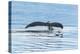 USA, Alaska, Tongass National Forest. Humpback whale diving.-Jaynes Gallery-Premier Image Canvas