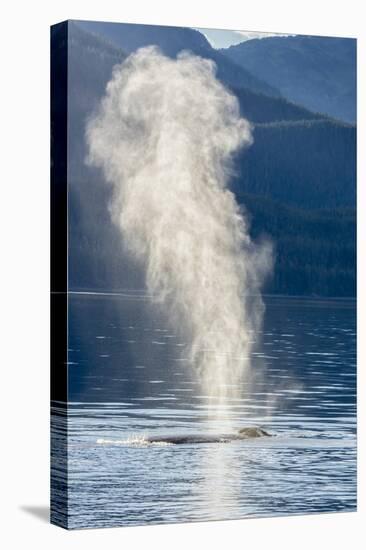 USA, Alaska, Tongass National Forest. Humpback whale spouts on surface.-Jaynes Gallery-Premier Image Canvas