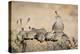 USA, Arizona, Amado. Female Gambel's Quail with Chicks-Wendy Kaveney-Premier Image Canvas