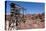 USA, Arizona and Nevada, Hoover Dam-Catharina Lux-Premier Image Canvas