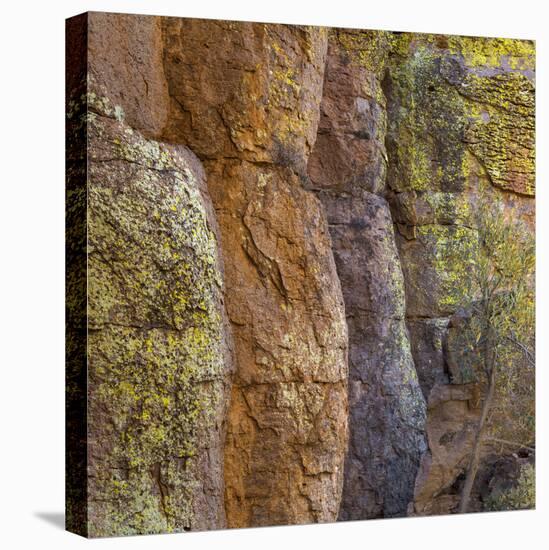 USA, Arizona, Chiricahua National Monument. Close-up of Cliff Face-Don Paulson-Premier Image Canvas