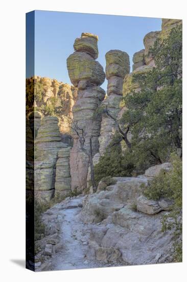 USA, Arizona, Chiricahua National Monument. Eroded Rock Formations-Don Paulson-Premier Image Canvas