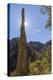 USA, Arizona, Chiricahua National Monument. Sunburst on Rocky Spire-Don Paulson-Premier Image Canvas