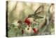 USA, Arizona, Desert Botanic Garden. Hummingbird feeding on bottlebrush flower.-Jaynes Gallery-Premier Image Canvas