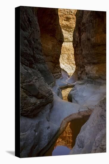 USA, Arizona, Grand Canyon National Park. Canyon Reflections-Don Grall-Premier Image Canvas