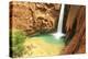 USA, Arizona, Grand Canyon National Park, Havasu Case, North America-Frank Lukasseck-Premier Image Canvas