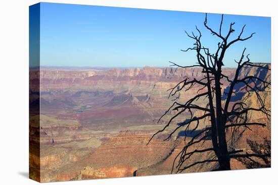 USA, Arizona, Grand Canyon. the Grand Canyon, View from the South Rim-Kymri Wilt-Premier Image Canvas