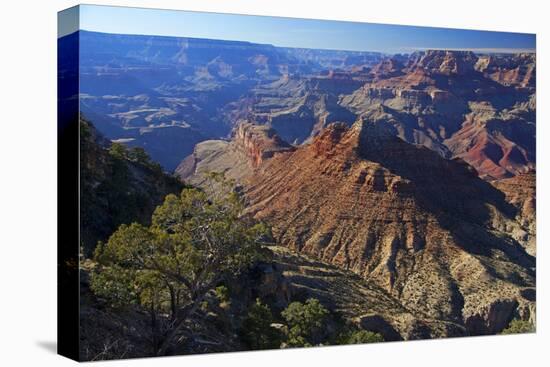 USA, Arizona, Grand Canyon Vista-Kymri Wilt-Premier Image Canvas