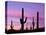 USA, Arizona, Organ Pipe Cactus National Monument-John Barger-Premier Image Canvas