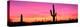 Usa, Arizona, Organ Pipe National Monument, Sunset-Robert Glusic-Premier Image Canvas