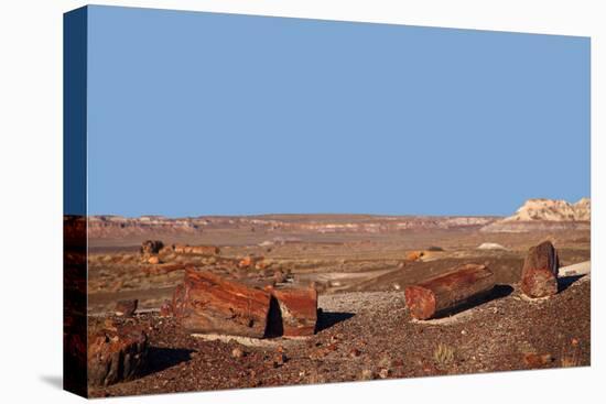 USA, Arizona, Petrified Forest National Park. Crystal Forest-Kymri Wilt-Premier Image Canvas