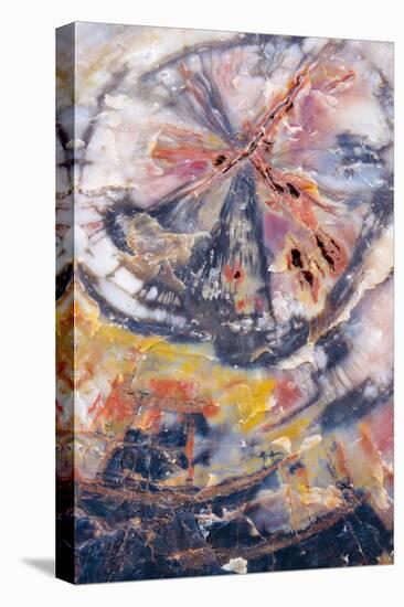 USA, Arizona, Petrified Forest National Park. Petrified Wood Detail-Jaynes Gallery-Premier Image Canvas